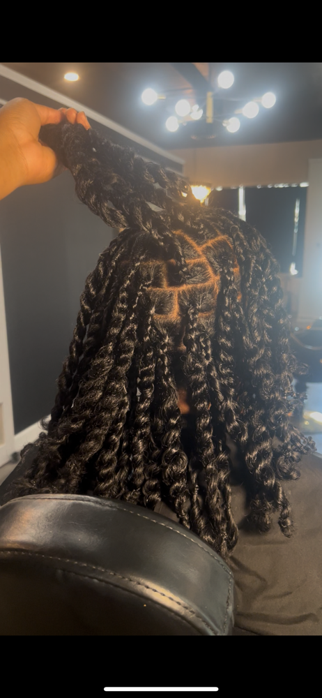 Two Strand Twist (Medium/Large)