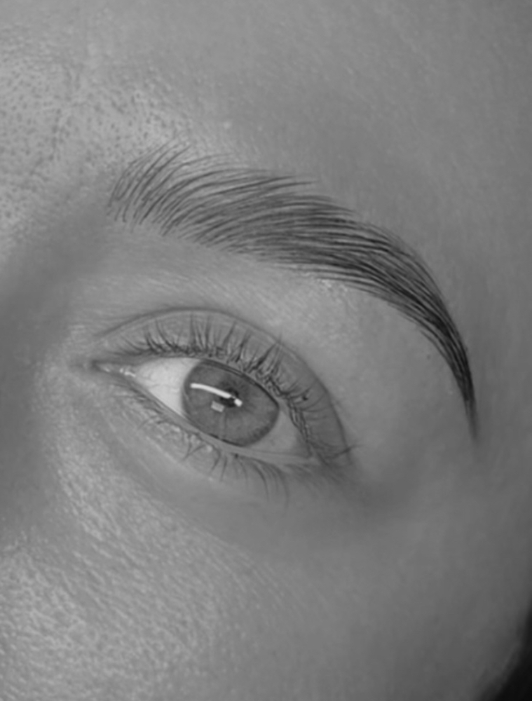 Brow Lamination + Wax Or Tint