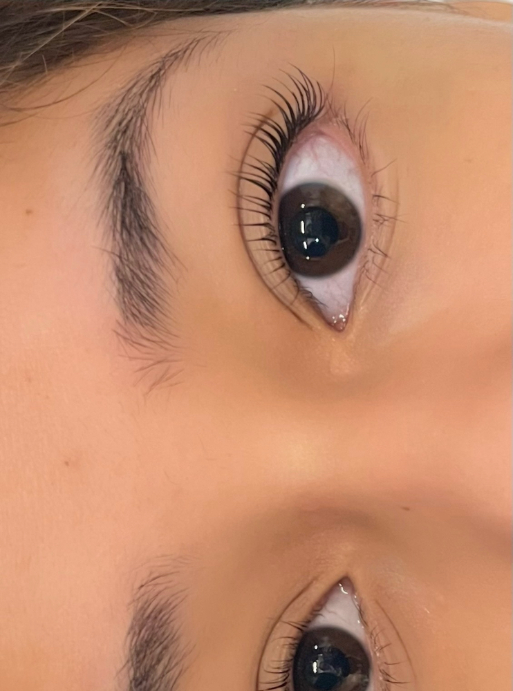 Lash Lift And Tinting