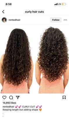 Curl Cut