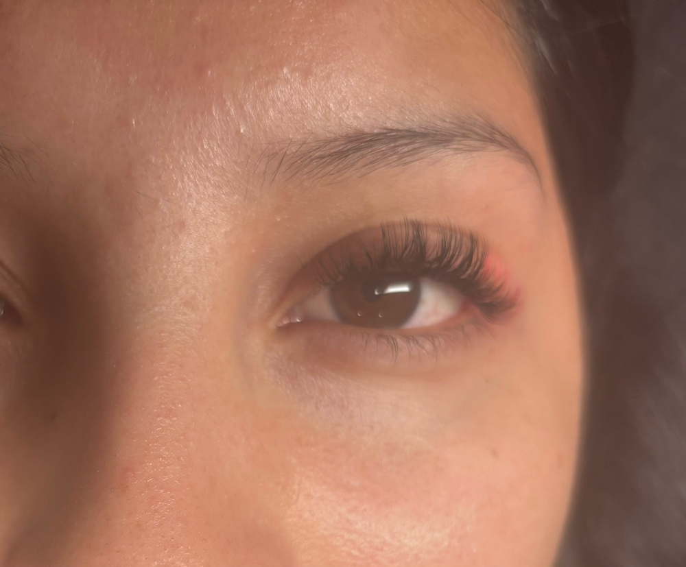 2 Color In 2D ( Eyelash )