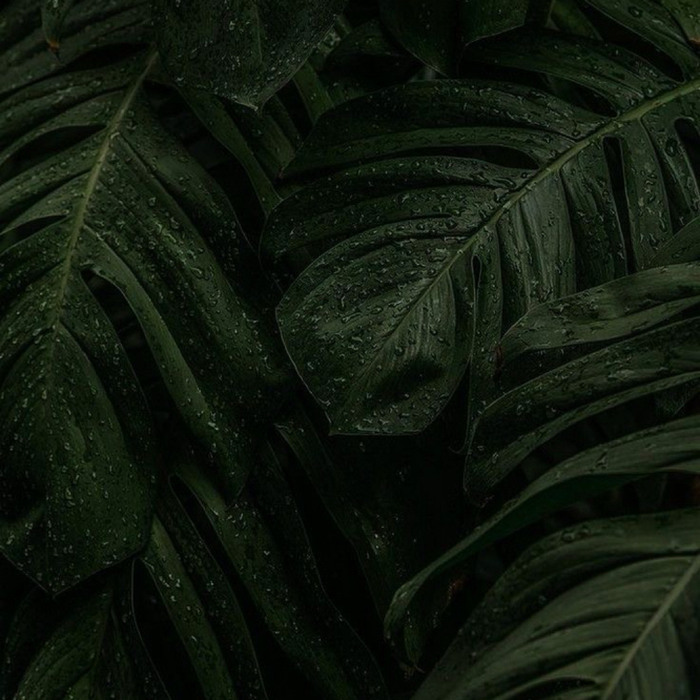 Skin Consultation & Custom Mapping at Skin and Faces by JNA in Southlake, TX