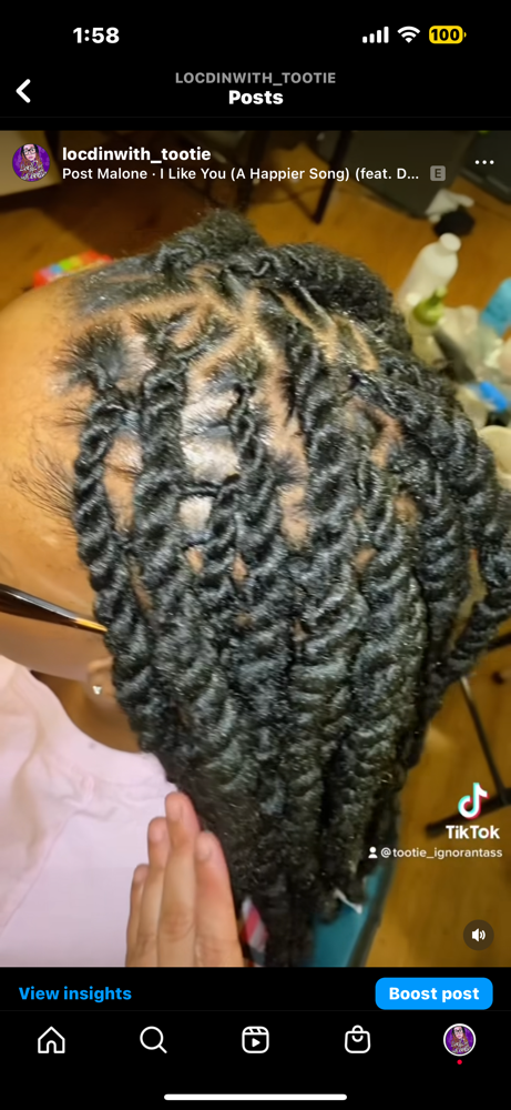 Marley Twist Over Locs