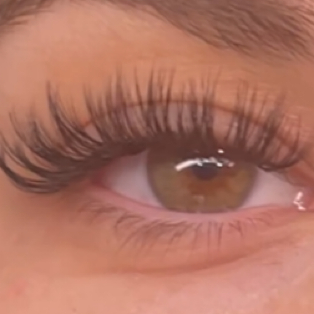 2 Week Fill at Lash Diva in Marina, CA