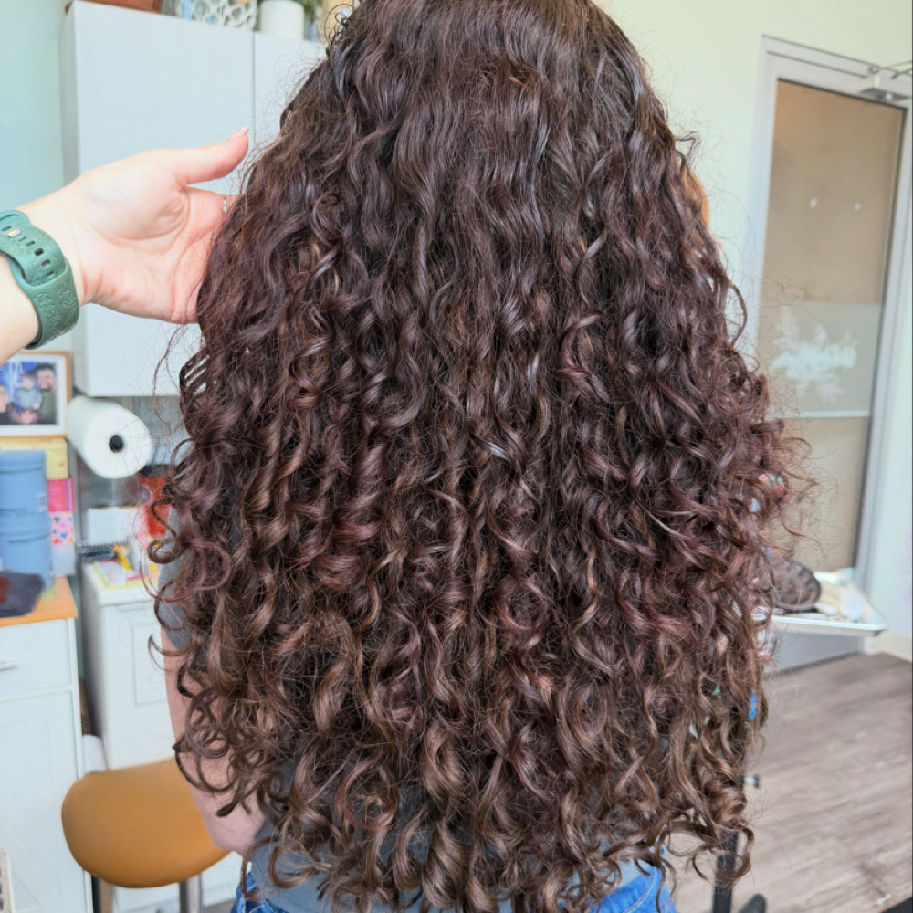 CUSTOM CURLY HAIR EXTENSIONS at Wild Bloom Hair Studio in Wyomissing, PA