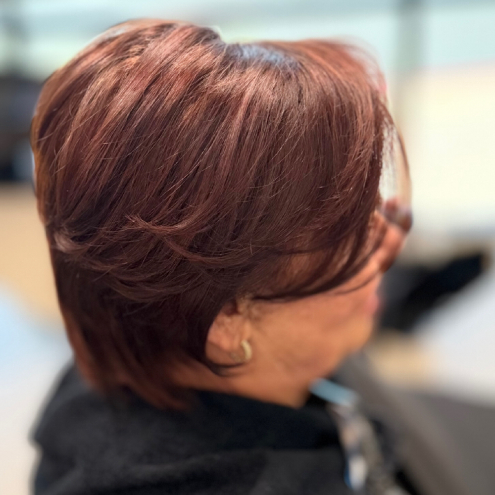 All Over Color at Hair by Hailey Monroe in Simi Valley, CA