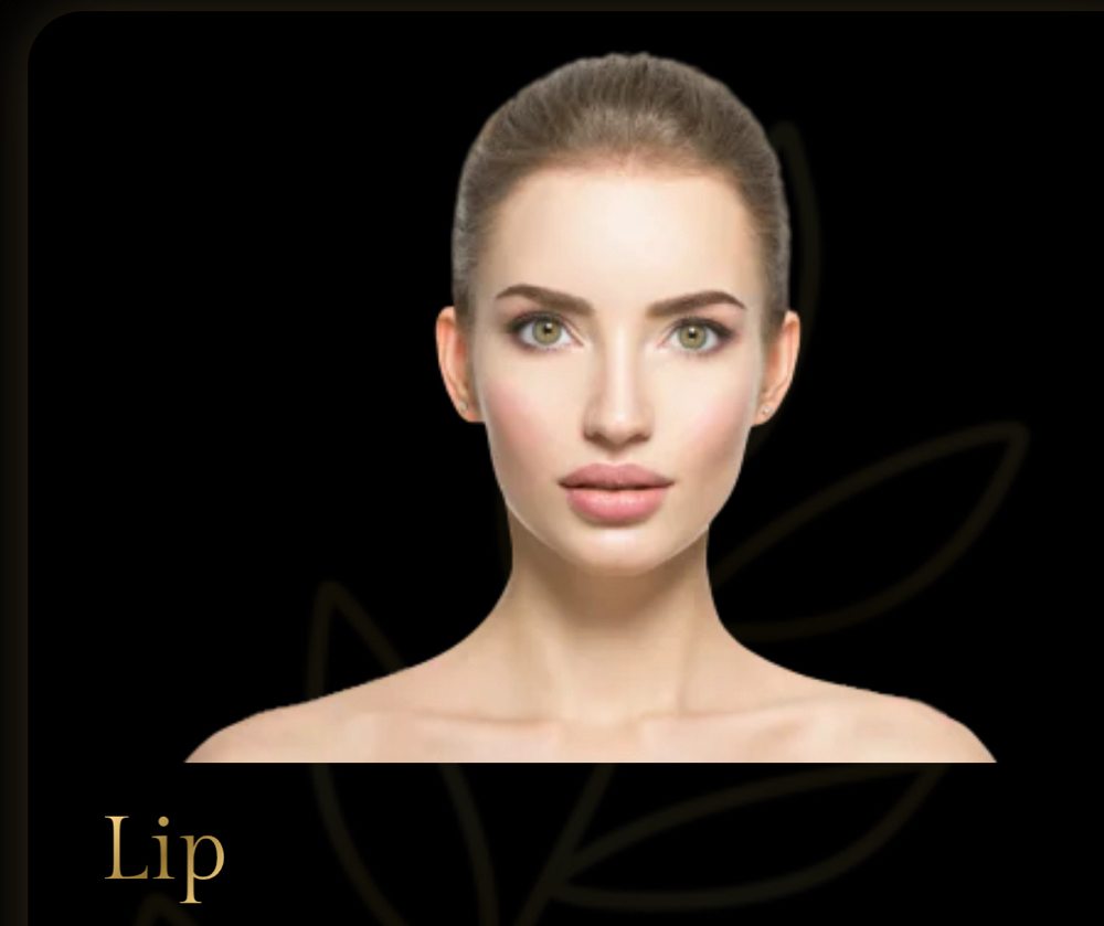 Lip