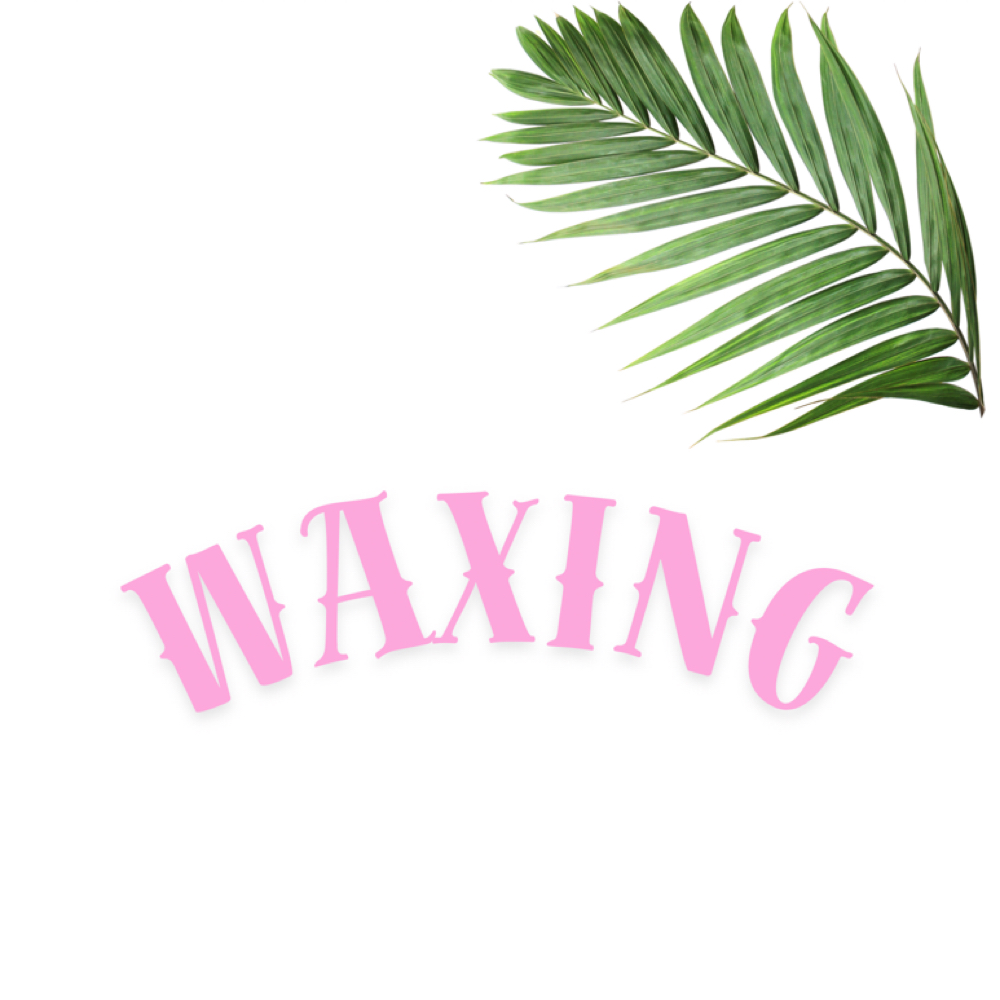 Butt Wax at Barebeauty.ny in Tonawanda, NY