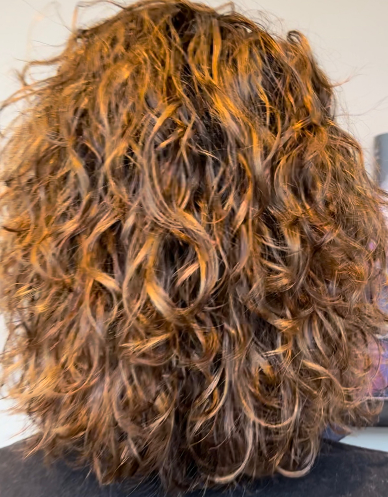 CURL EXPERT DRY CUTS