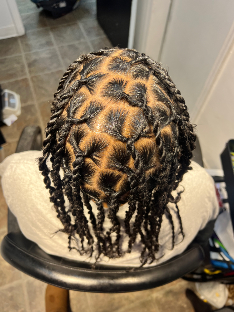 Starter Locs With Style at Locs n Things by Ashley in Jersey City, NJ