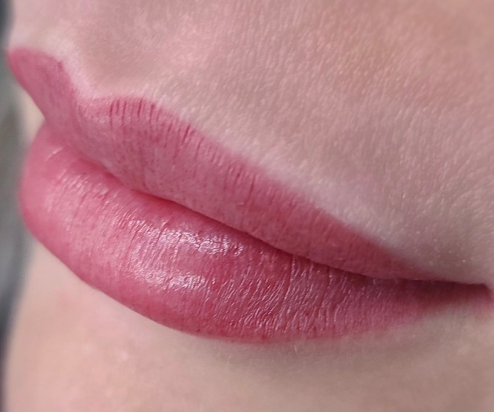 LIP BLUSH 6 Week TOUCH UP