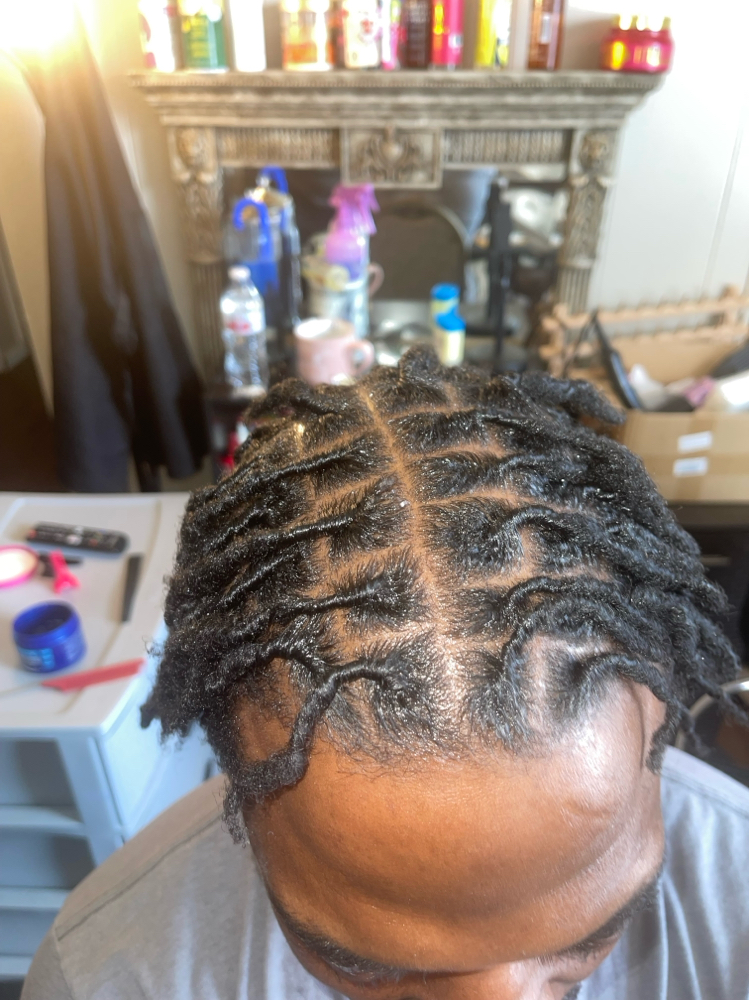 Starter Locs