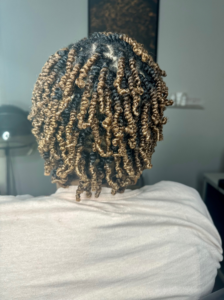 Mini Twists/Short To Shoulder
