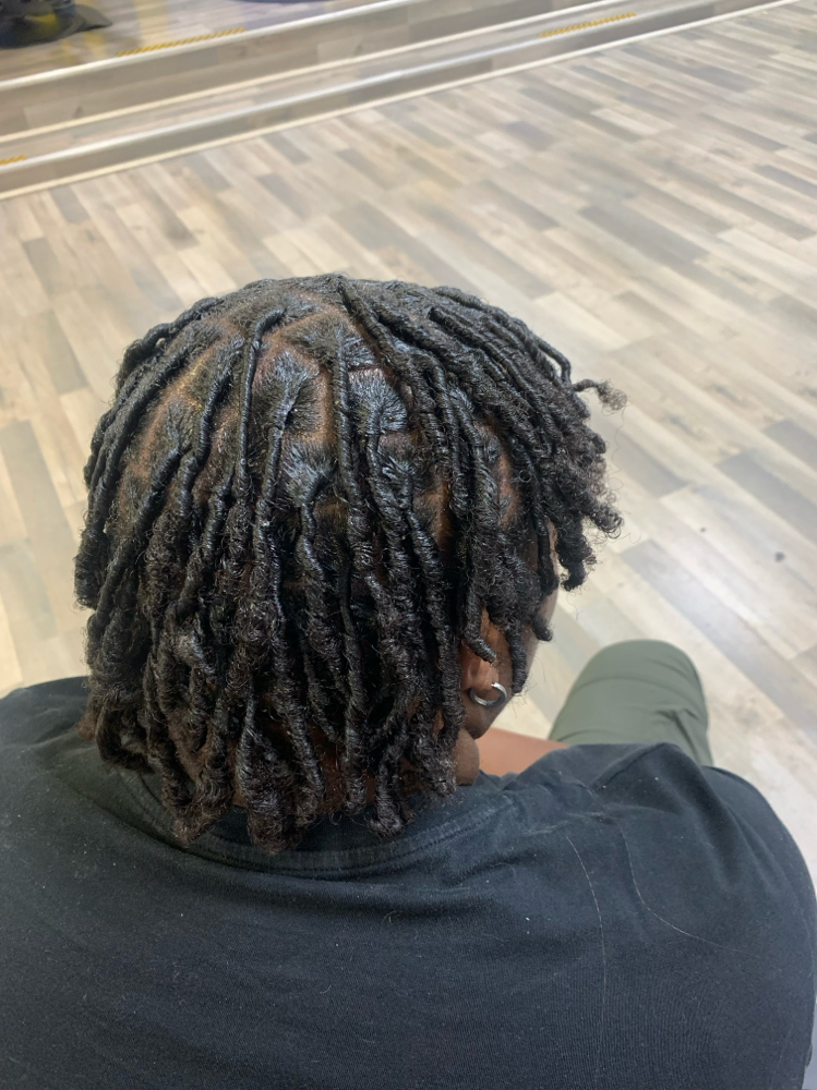 Starter Locs