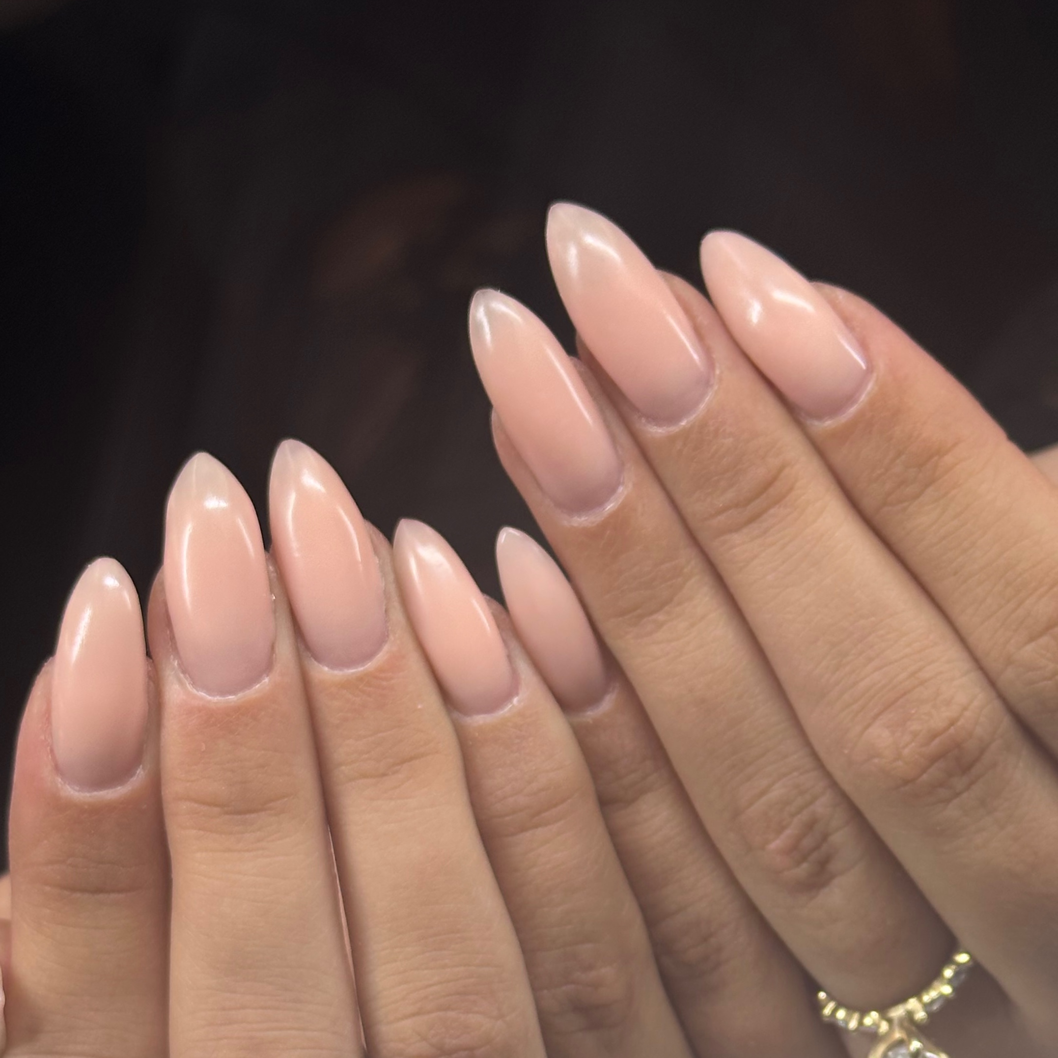 Luminary Manicure at Averyjaynenails in Thatcher, AZ