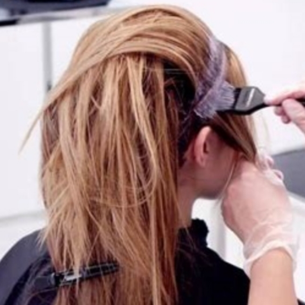 Color And Cut at Elevate Hair and Body Spa LLC in Farmingdale NJ, NJ