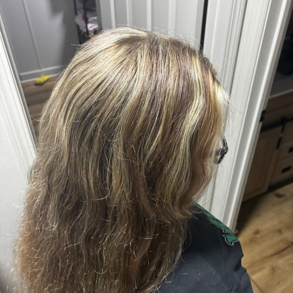 Partial Highlight at SALON HALO in Johnson City, TN
