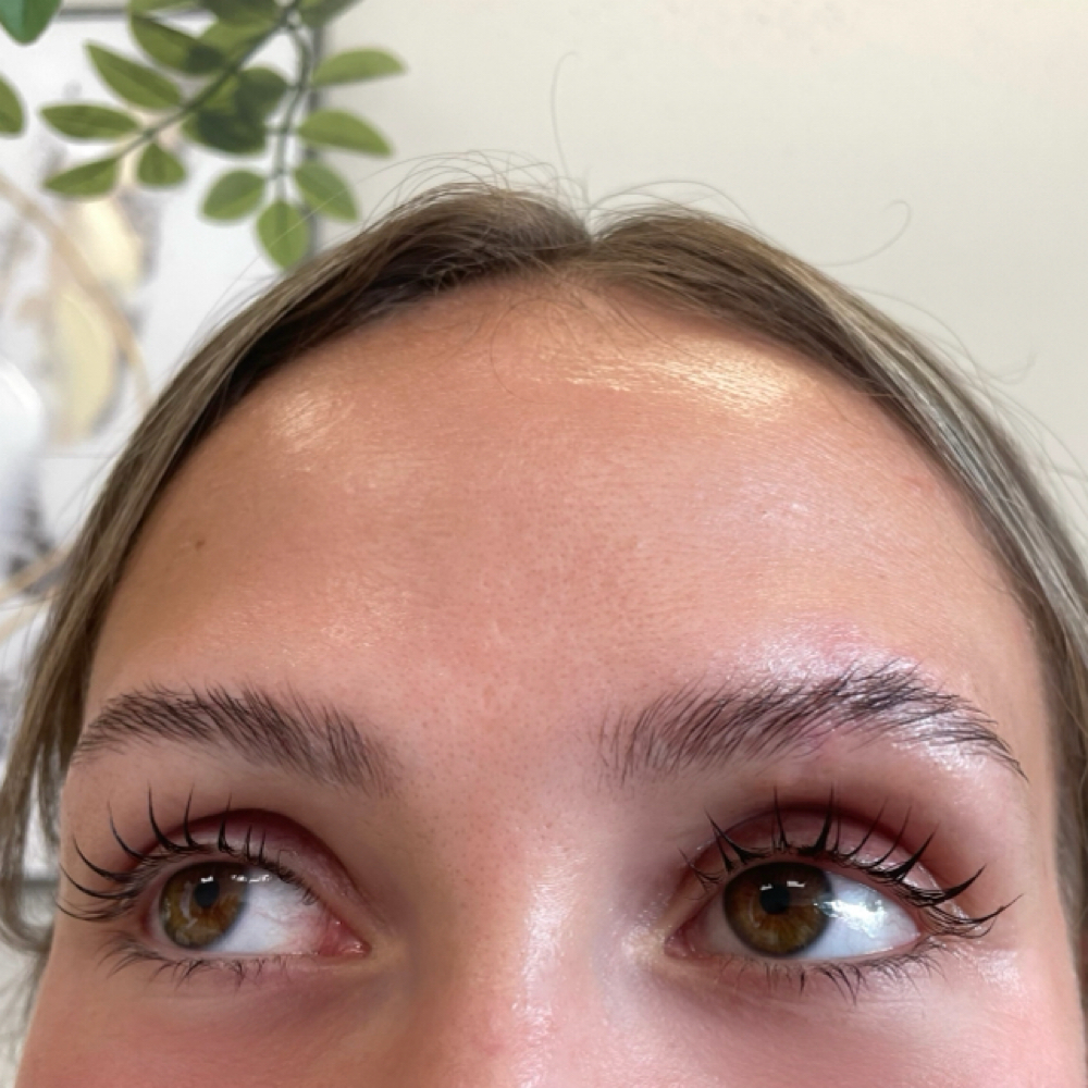 BROW AND LASH BUNDLE at Empire Beauty Bar in Wappingers Falls, NY
