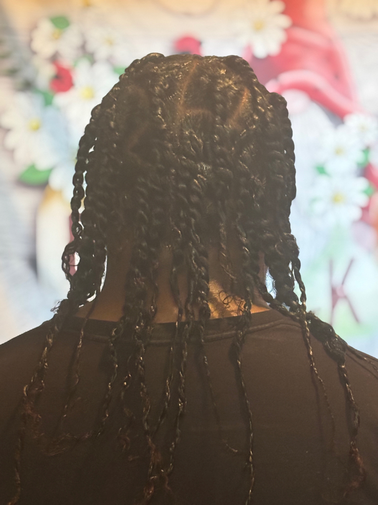 Two Strand Twists