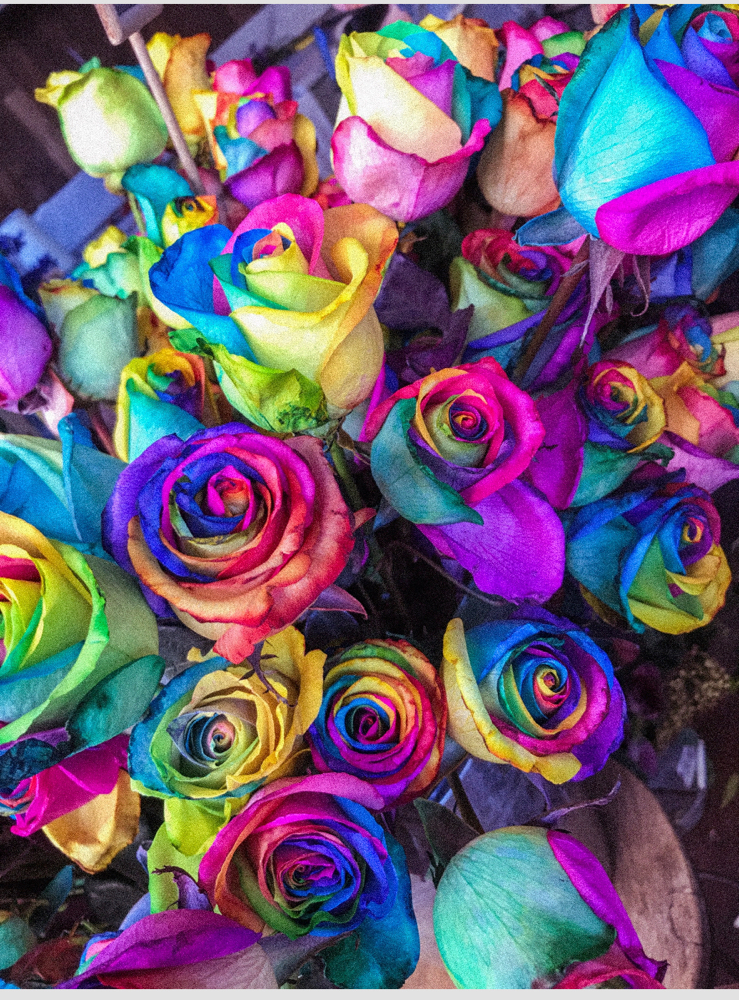 Dramatic Fashion Colors