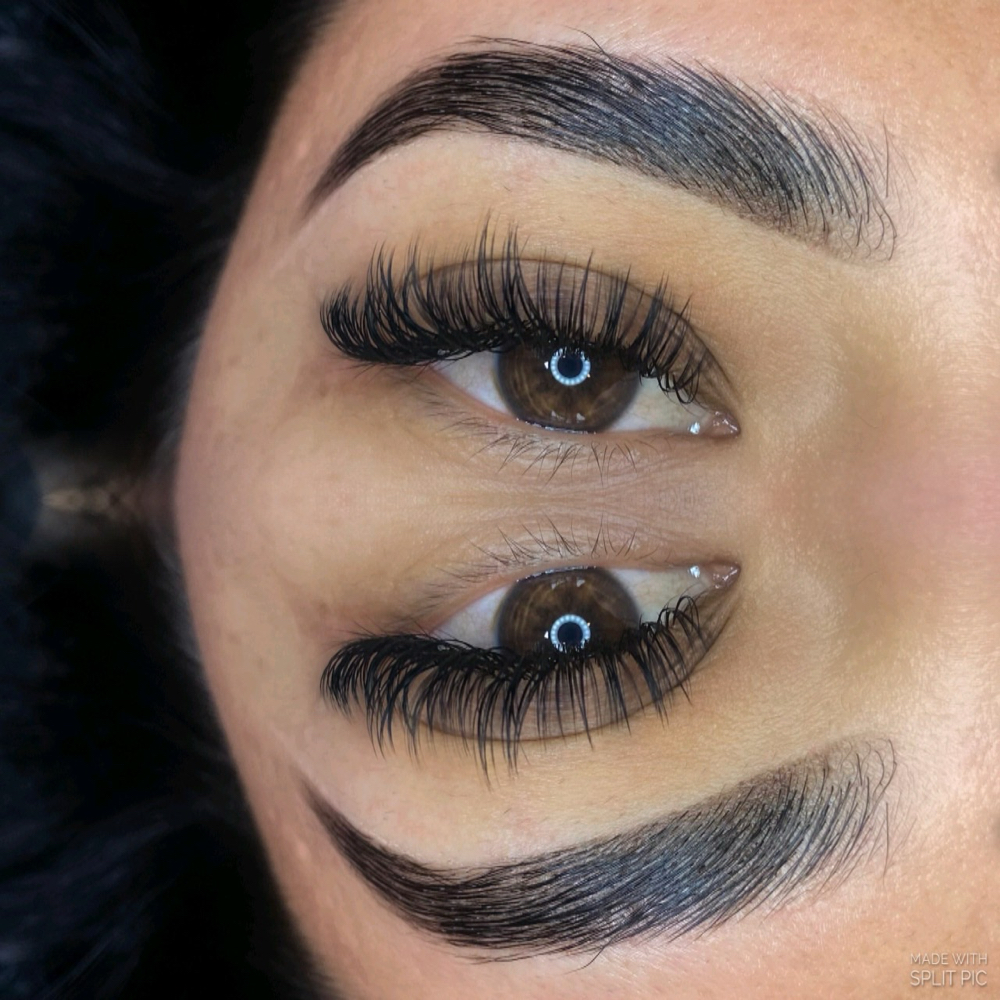 Wetset Lashes