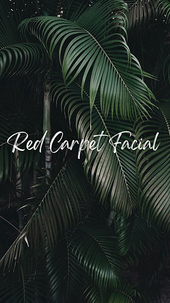 Red Carpet Facial