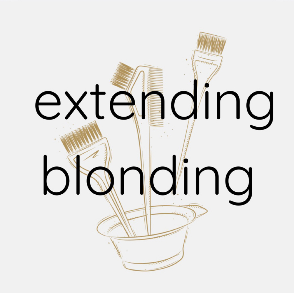 Extending Blonding Service at Ellington Grey Studio in Cullman, AL