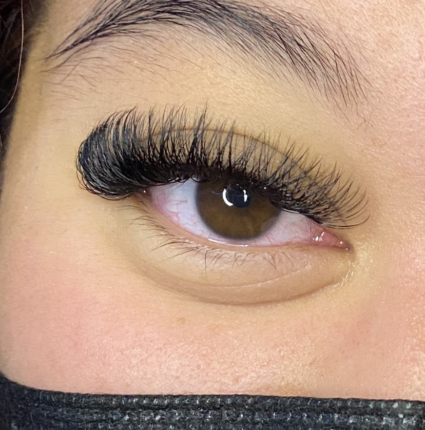 Hybrid Fill 2-3 Weeks