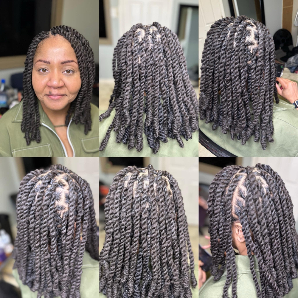 Imitation Locs (hair Included)