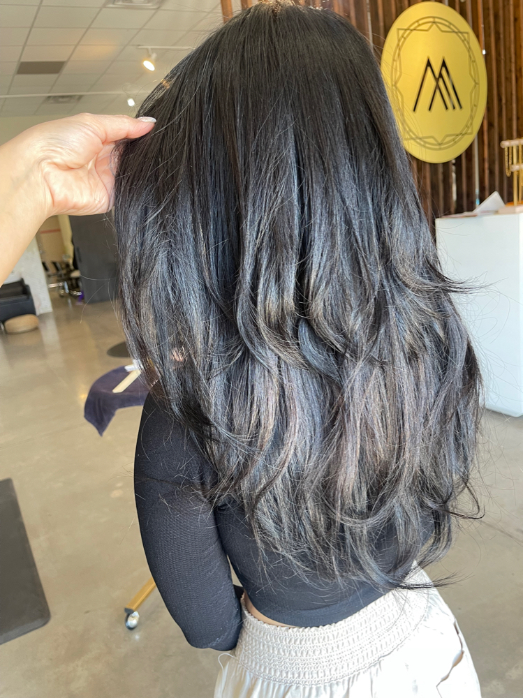Wash & Style w/ Extensions