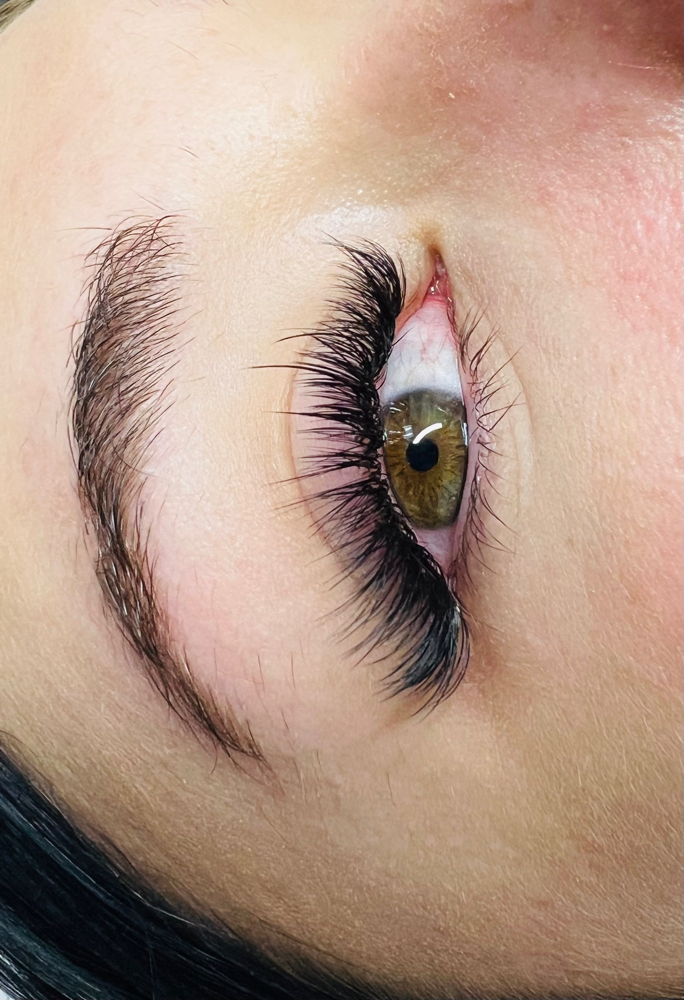 Wispy Refill 1 Week (7-10day)