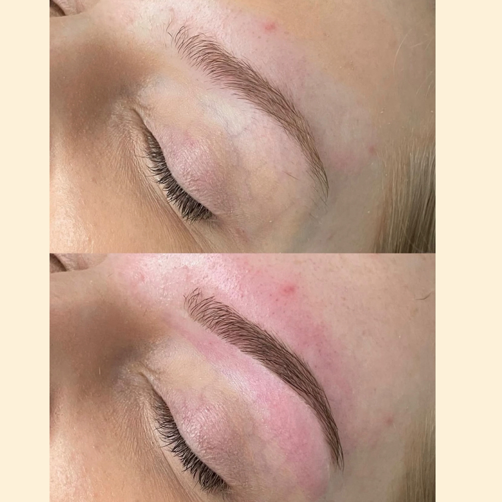 Brow Tint +Wax at Divine Lash & Brow Studio  - Nacogdoches, Texas in Nacogdoches, TX