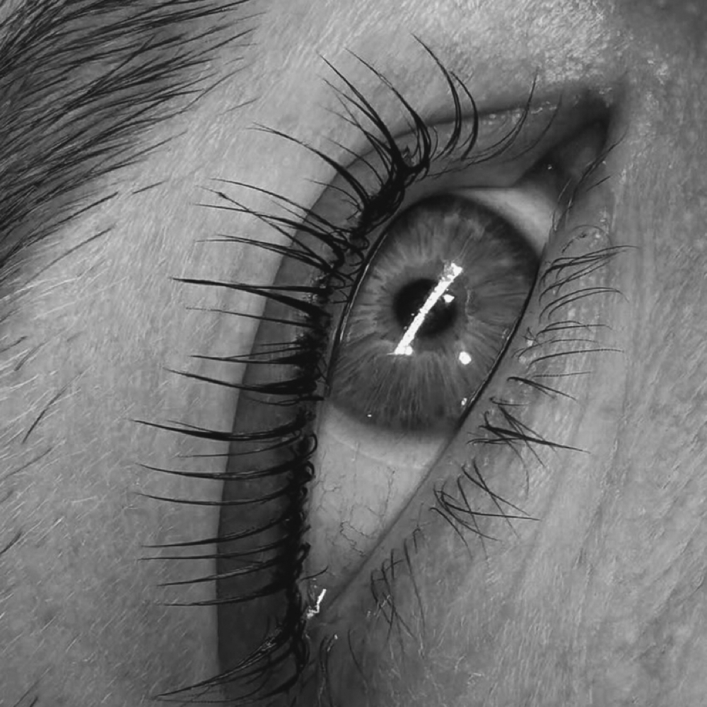 Lash Lift at Esthetics by Elizabeth in Tallahassee, FL