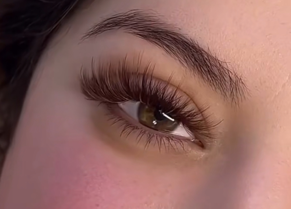 Brown Lashes