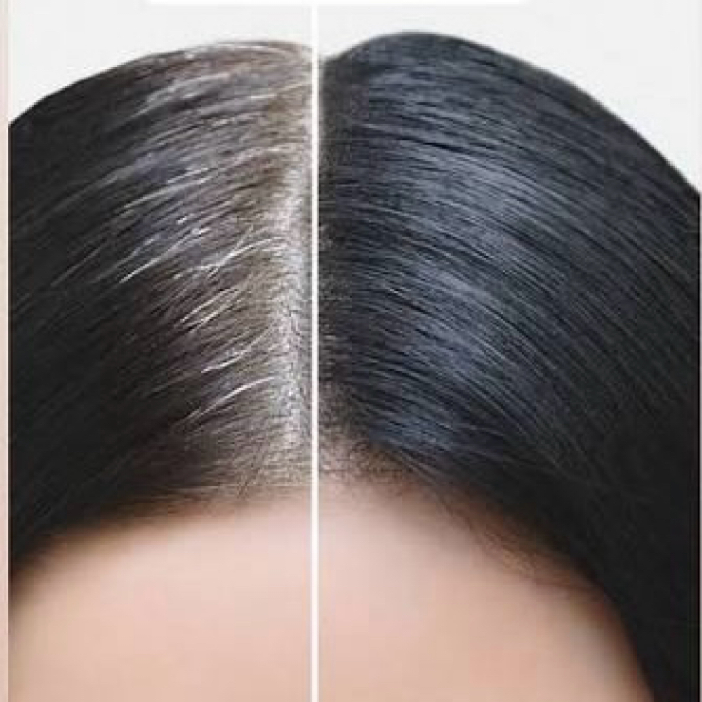 Root Color Ritual (No Blow-Dry) at Glori Salon in Sunrise, Florida, FL