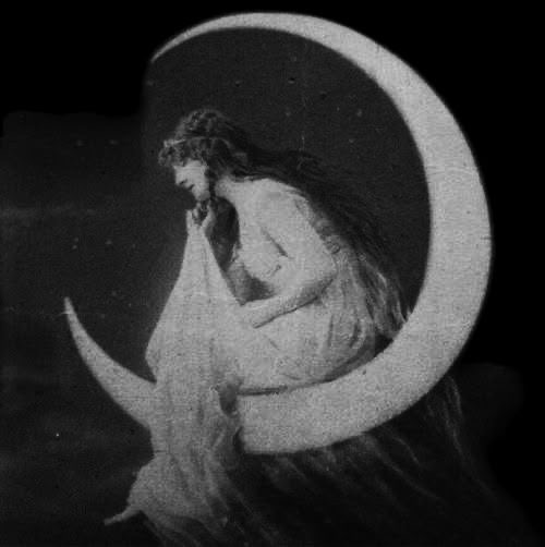 ✦ Moonlit Glow Hydroplane ✦