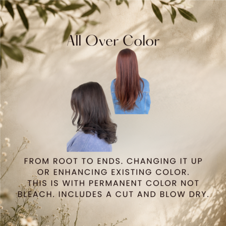 All Over Color at Ashlee Holley Hair in San Marcos, TX