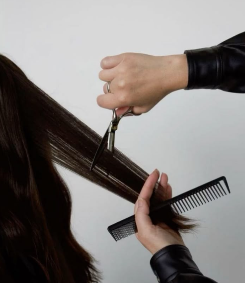 Women's Haircut