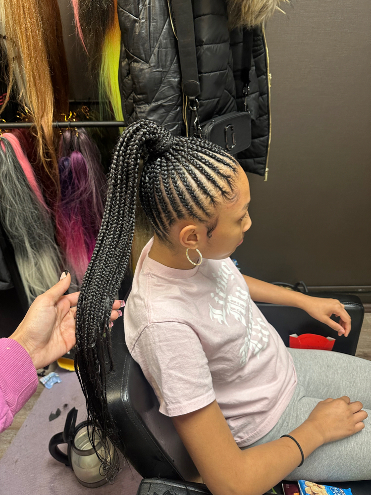 Small Braided Ponytail
