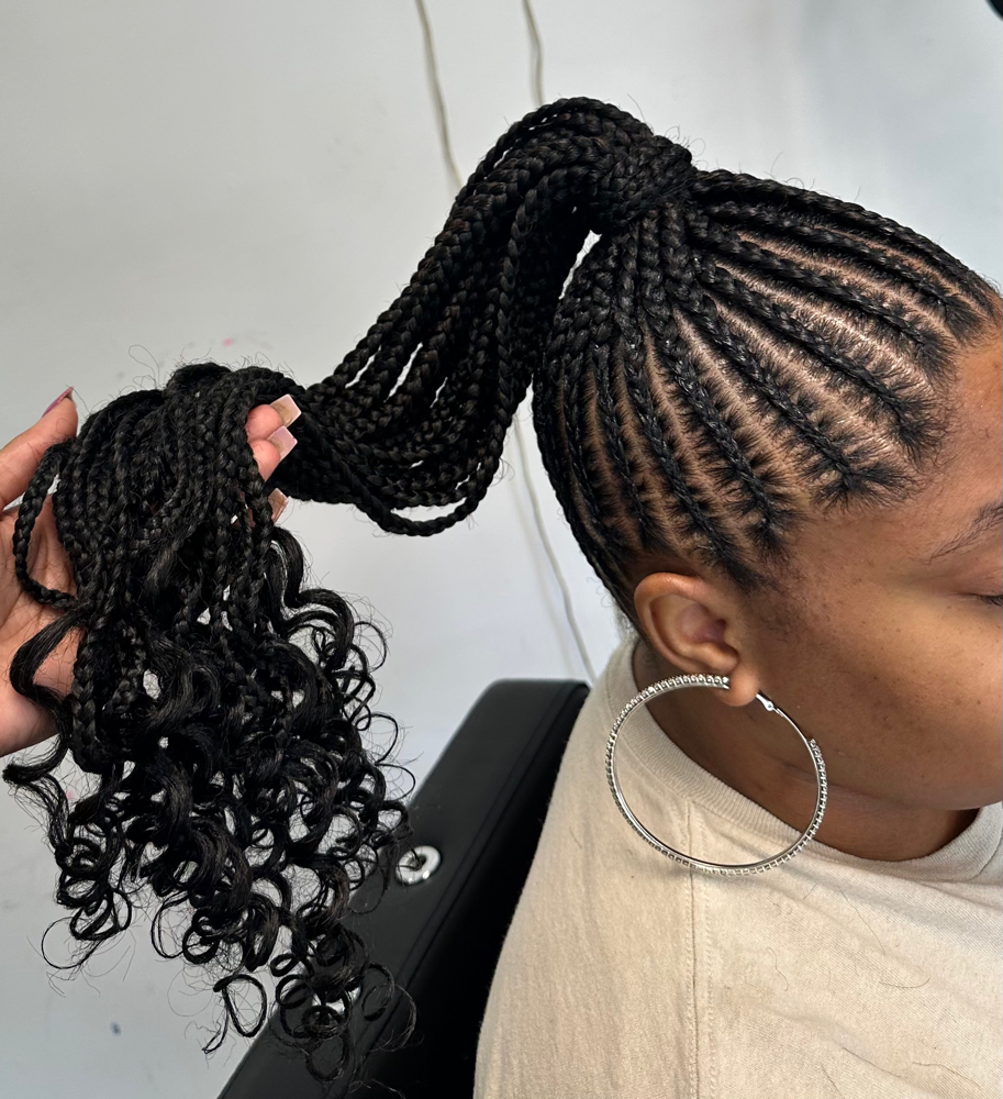 Small Braided Ponytail