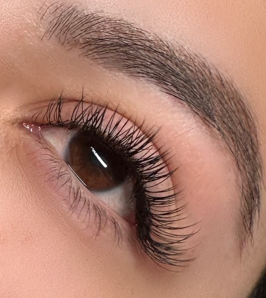 Classic Lashes