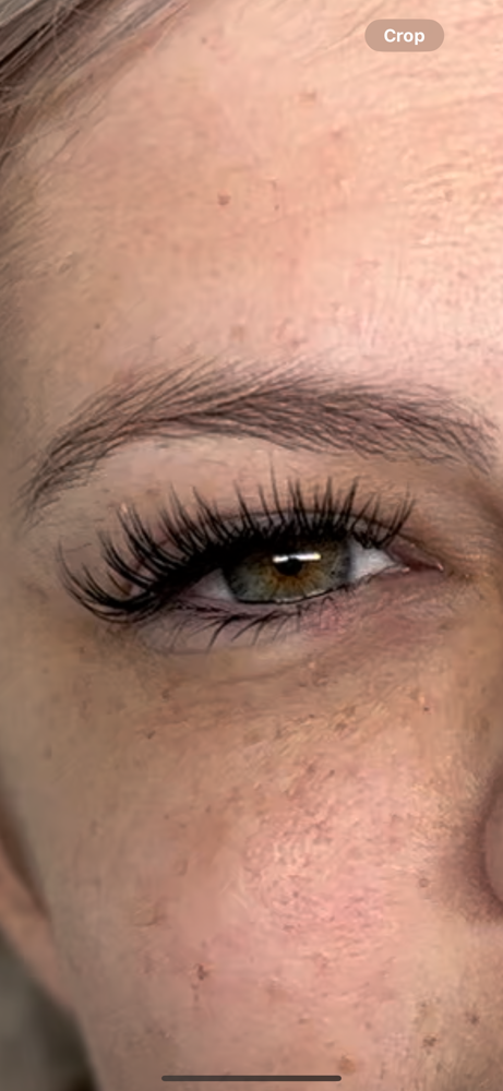 Classic Lashes
