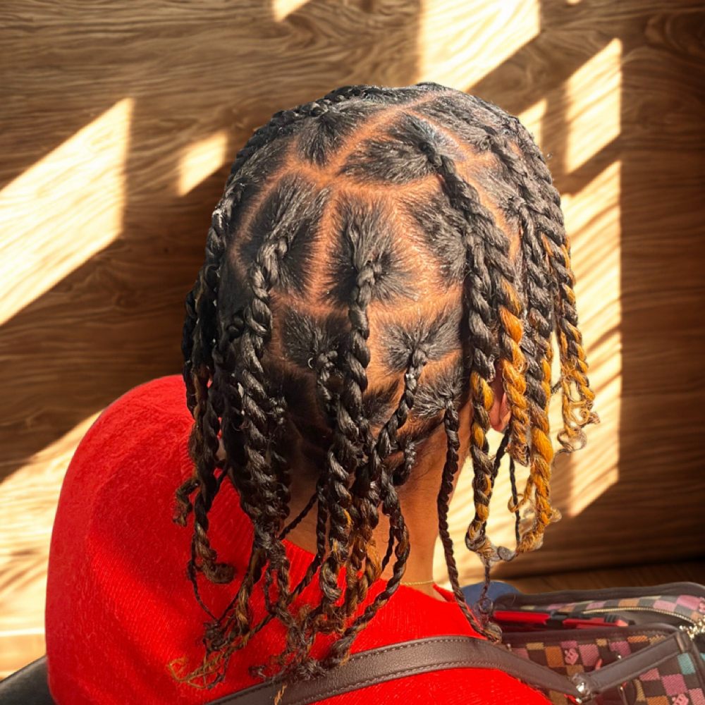 Two Strand Twist at Love Strand Studio in Chicago, IL