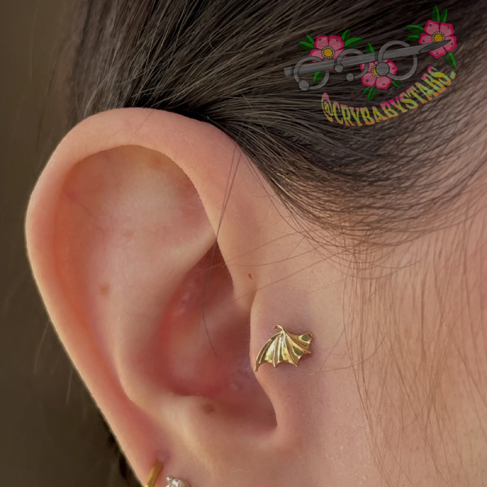 Tragus at Dark Age Piercings by Sarah in Denton, TX