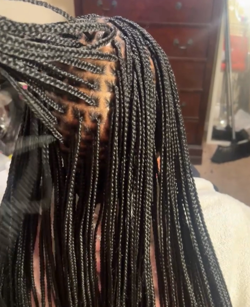 Xsmall regular length knotless