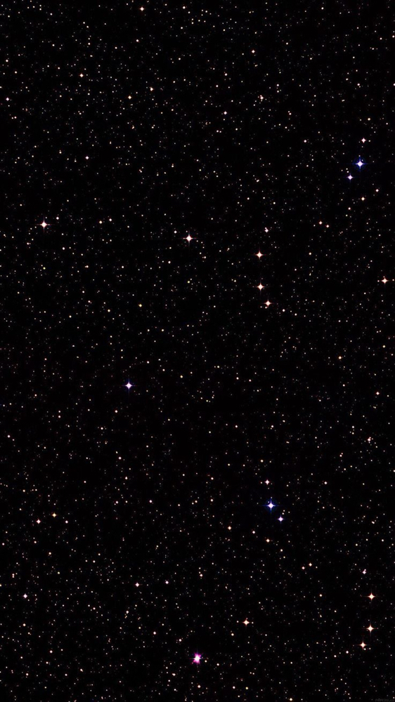 Single Process Color Only