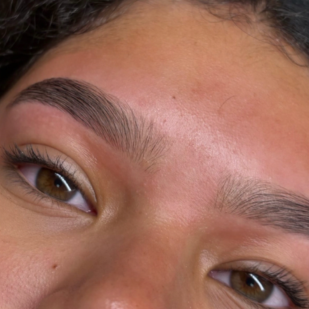 Brow Wax at Rise Beauty Studio in Wichita, KS