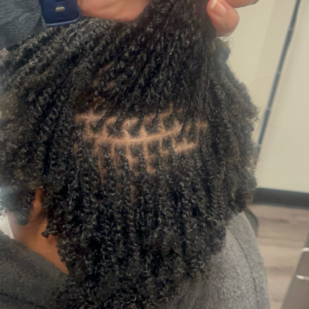 Starter Micro at Refined Crowns - RC Styles in Arlington, TX