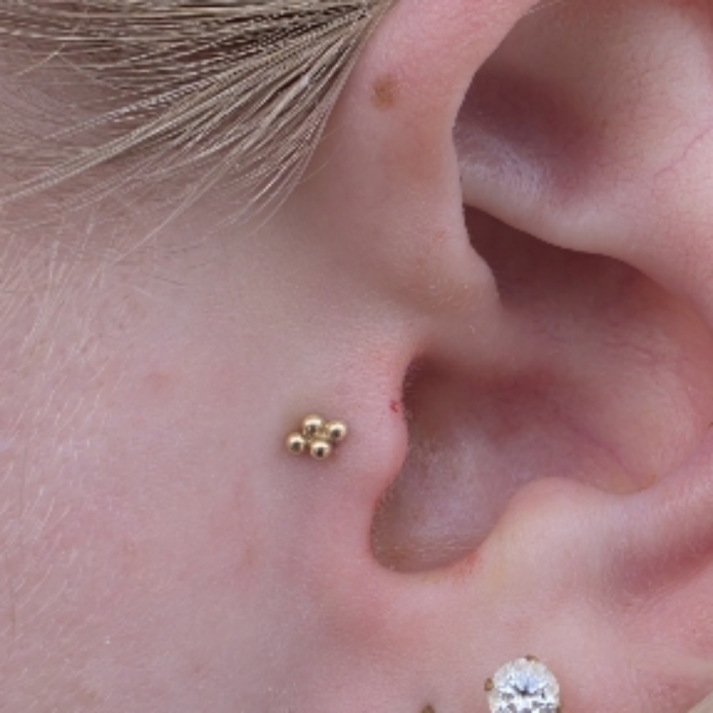 Tragus at The Skin Lounge in MARQUETTE, MI