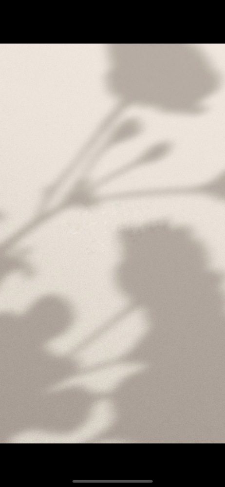 New Guest Custom Color at Abbey Frei Artistry in Chesterfield, MO